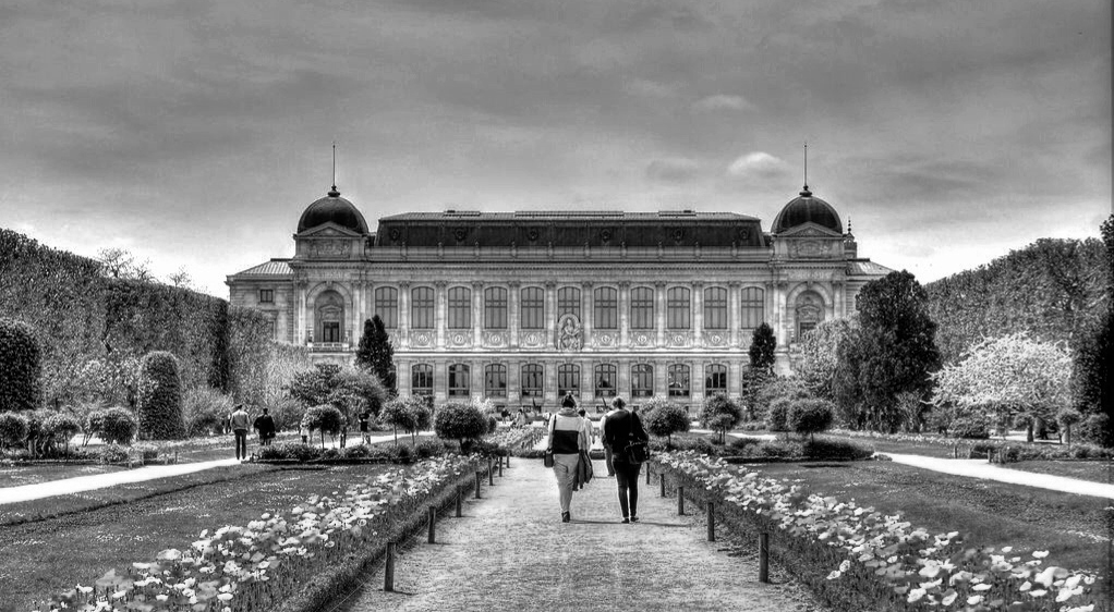 Le Jardin des Plantes